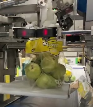 Fast and Gentle Pear Bagging Solutions