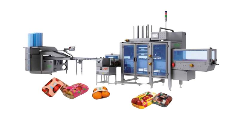 Full Automation Line - Paper Trays
