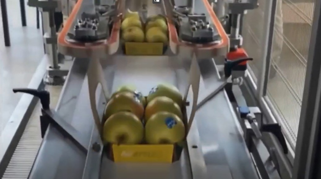 100% Paper, Fully Automated Fruit Packaging